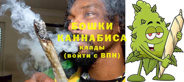 Альфа ПВП Сосновый Бор