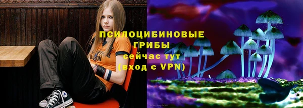 ECSTASY Беломорск